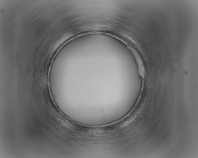 X0000062621073200601181649