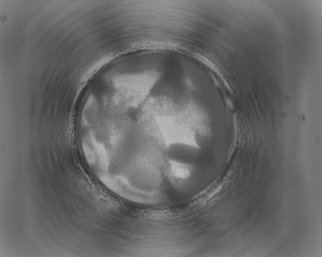 X0000062621074200601181649