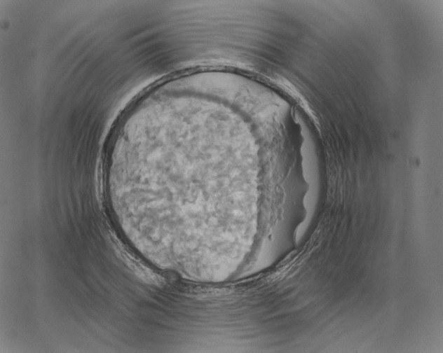 X0000062621076200601181649