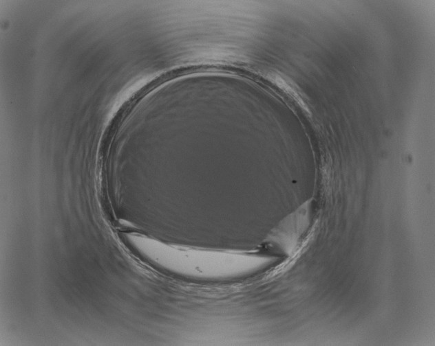 X0000062621077200601181649