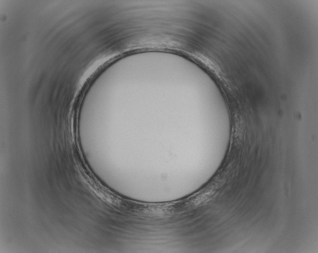 X0000062621078200601181648