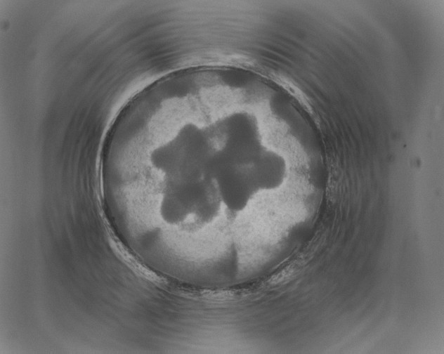 X0000062621080200601181648