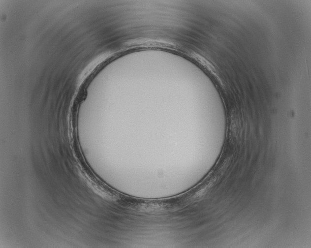 X0000062621082200601181648