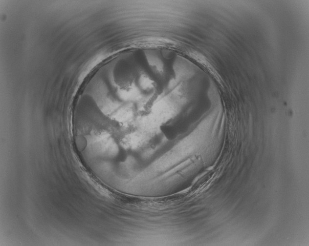 X0000062621083200601181648