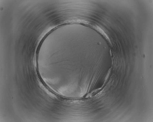 X0000062621084200601181648