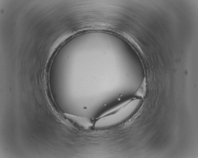 X0000062621085200601181648