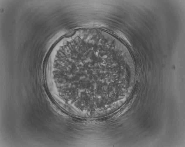 X0000062621087200601181648