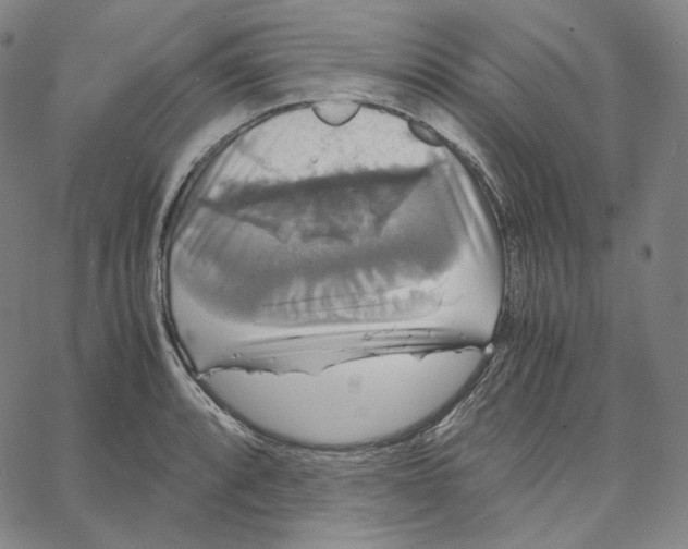 X0000062621088200601181648