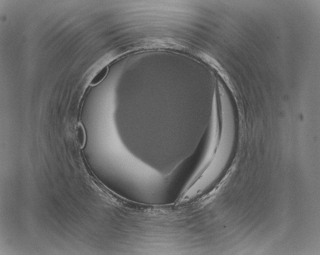 X0000062621089200601181648