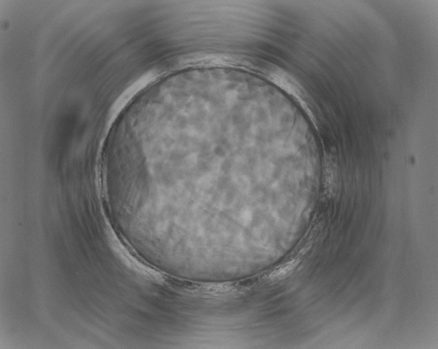 X0000062621090200601181648