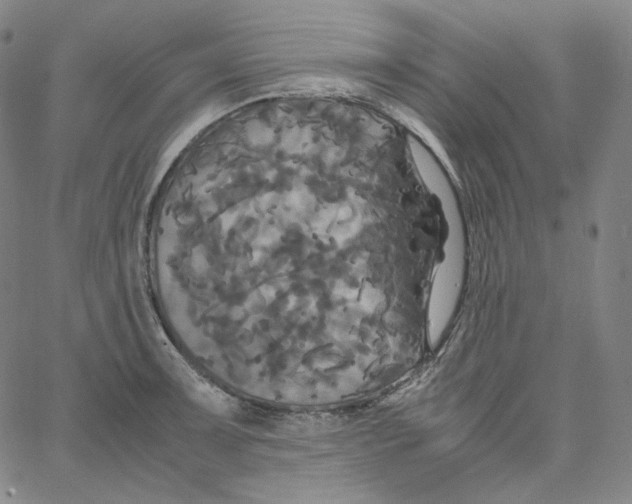 X0000062621091200601181648