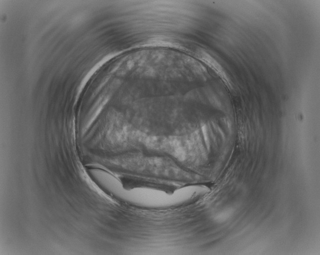 X0000062621092200601181648