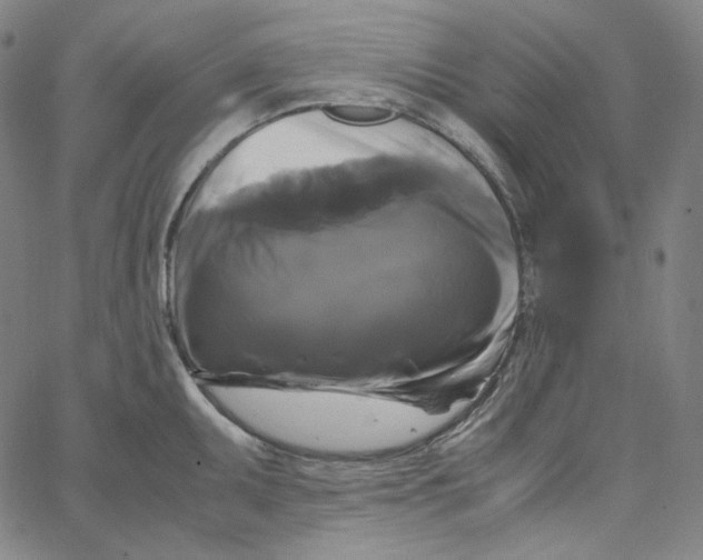 X0000062621095200601181648