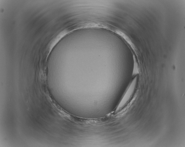 X0000062621097200601181648