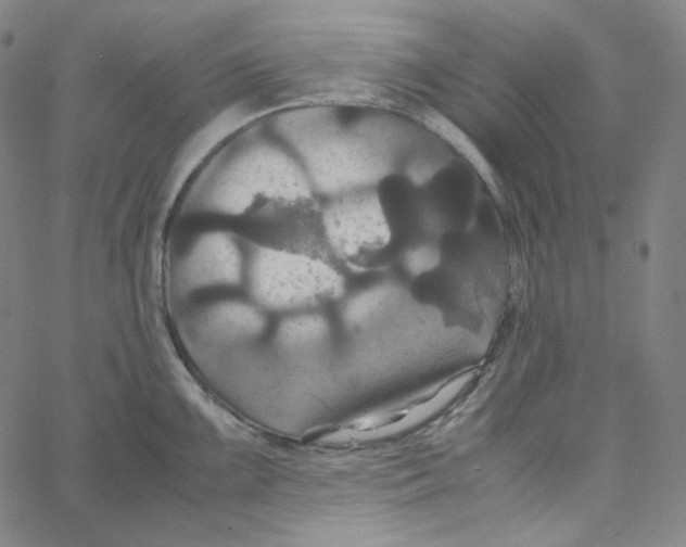 X0000062621099200601181648