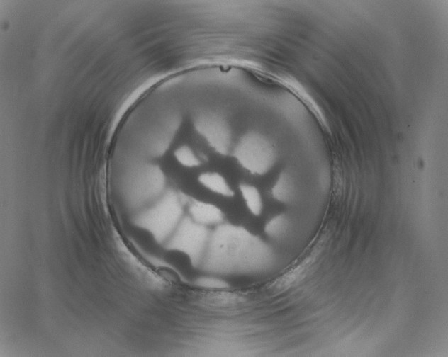 X0000062621100200601181648