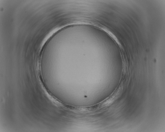 X0000062621101200601181648