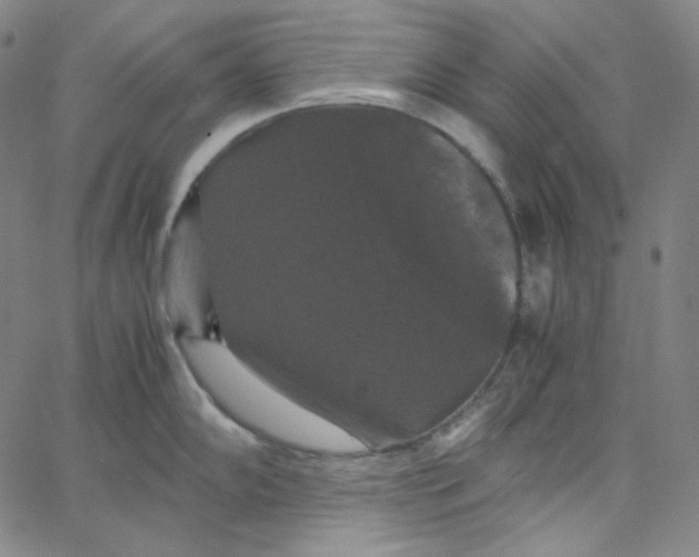 X0000062621102200601181648