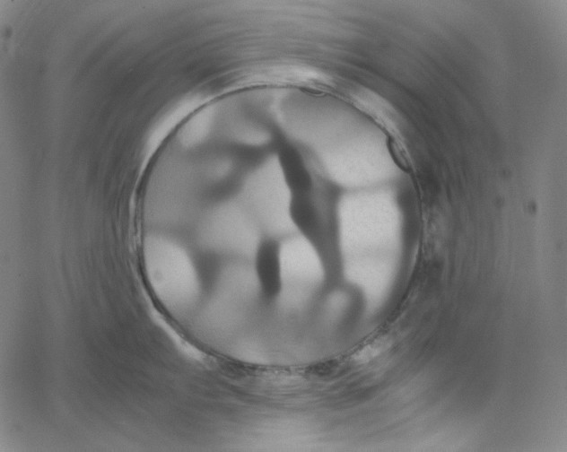 X0000062621103200601181648