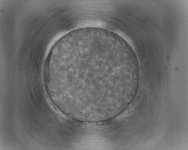 X0000062621104200601181648