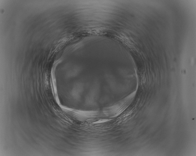 X0000062621106200601181647