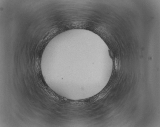 X0000062621107200601181647