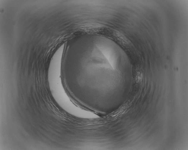 X0000062621108200601181647