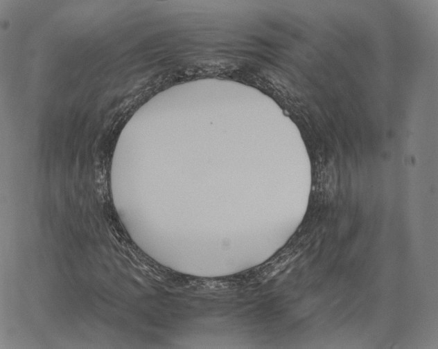 X0000062621109200601181647