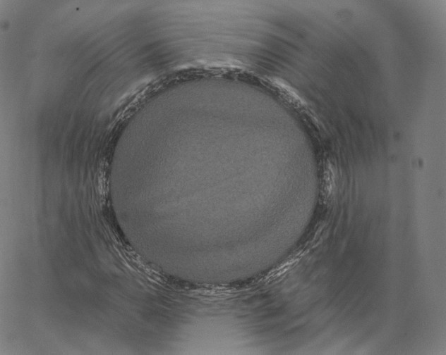 X0000062621110200601181647