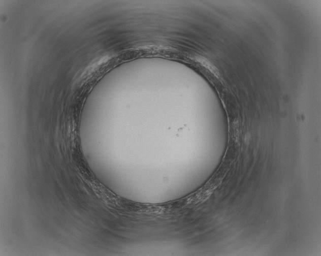 X0000062621111200601181647