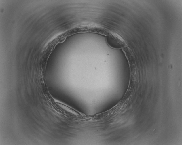 X0000062621112200601181647