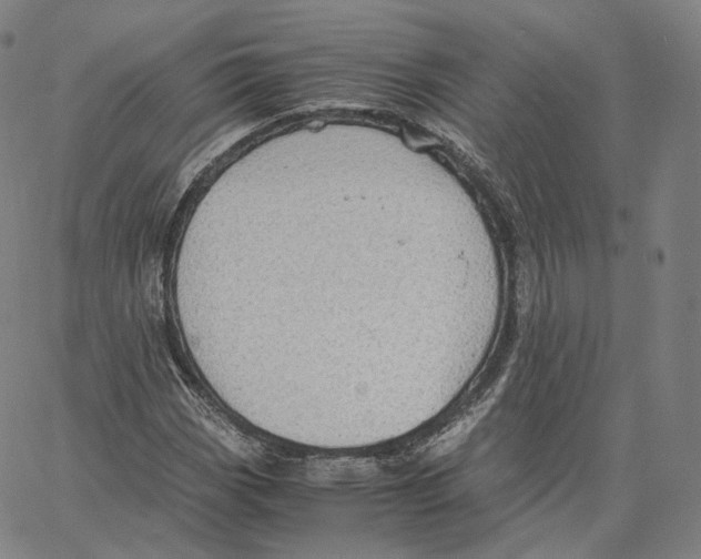 X0000062621113200601181647