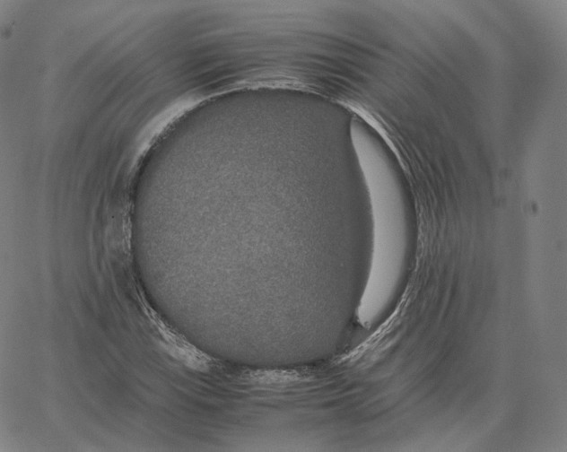 X0000062621115200601181647