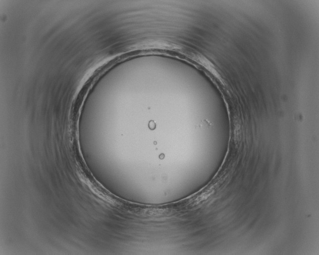 X0000062621116200601181647