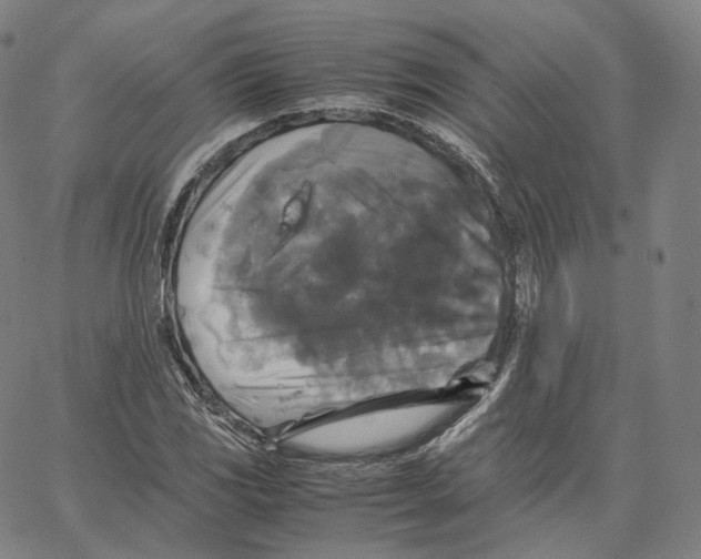 X0000062621117200601181647