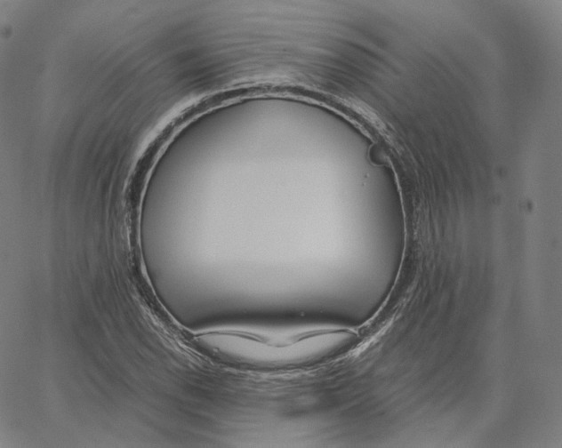 X0000062621118200601181648