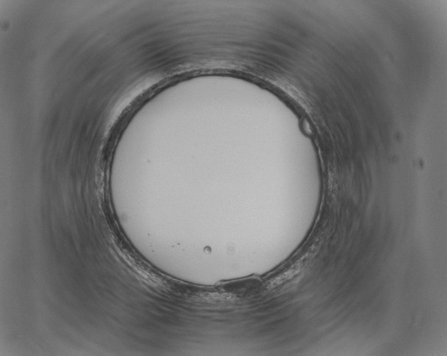 X0000062621119200601181648