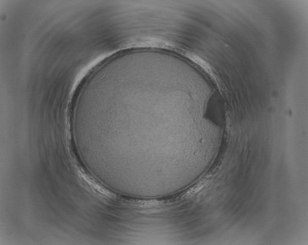 X0000062621120200601181648