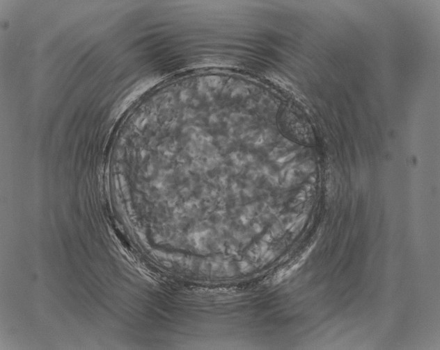 X0000062621121200601181648