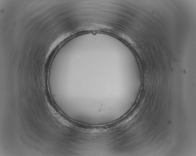 X0000062621122200601181648