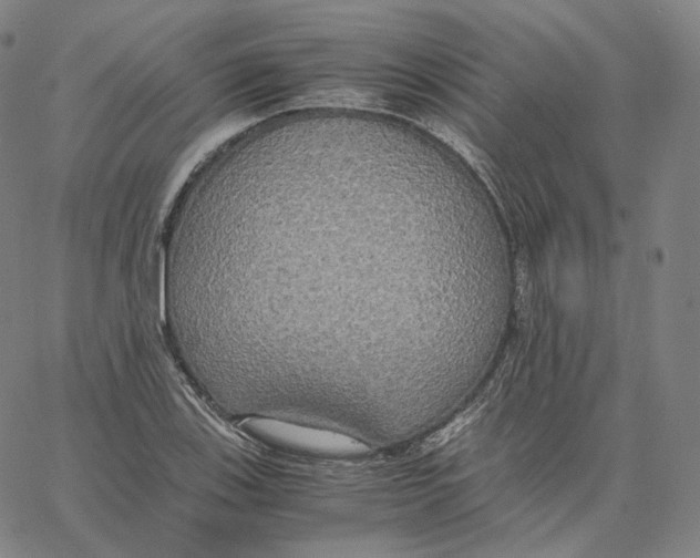 X0000062621123200601181648