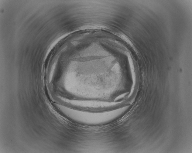 X0000062621124200601181648