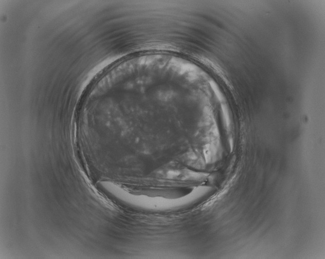 X0000062621125200601181648