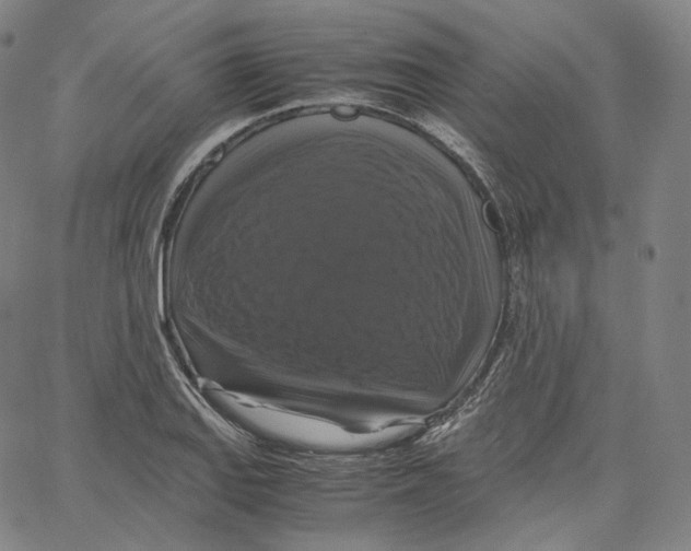 X0000062621127200601181648