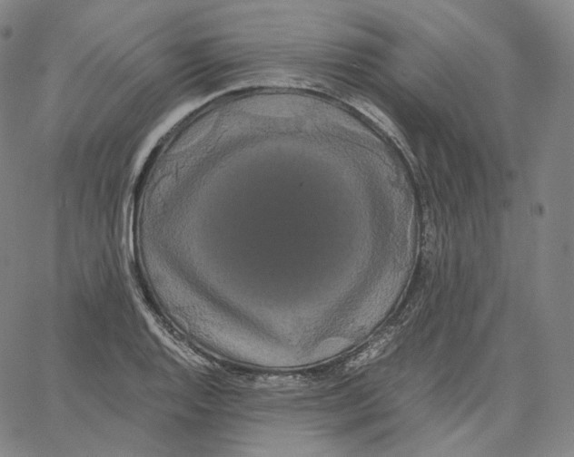 X0000062621128200601181648