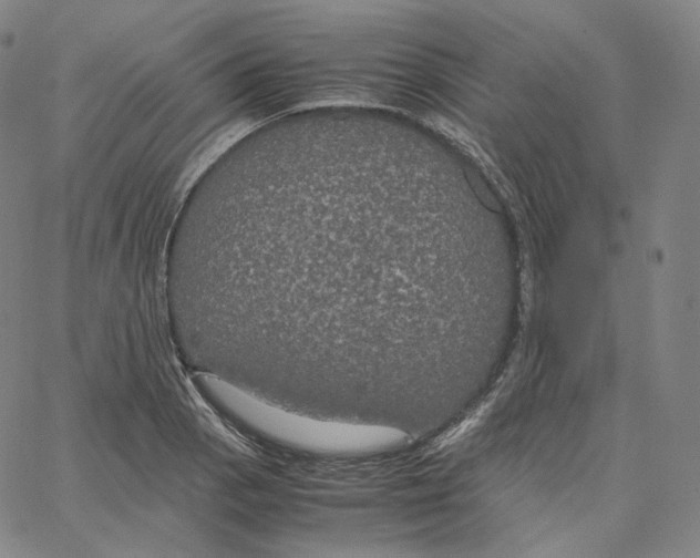 X0000062621129200601181648