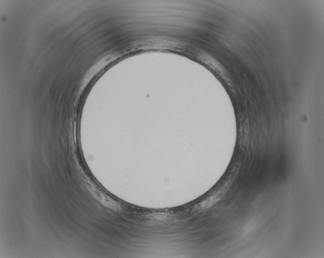 X0000062621130200601181648