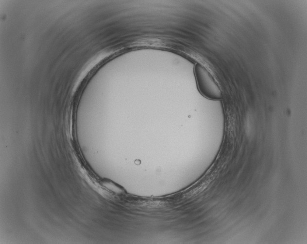 X0000062621131200601181648