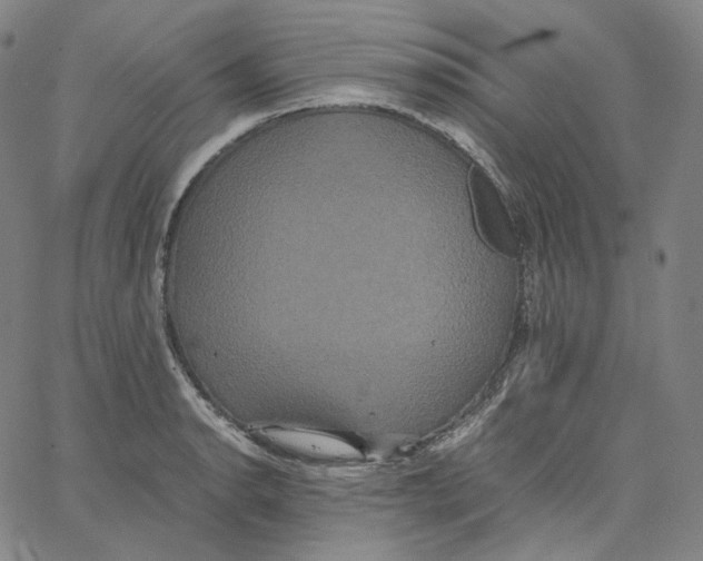 X0000062621134200601181648