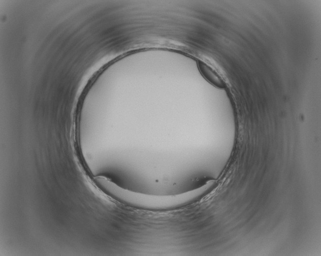 X0000062621136200601181648